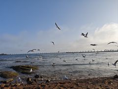 -青岛第二海水浴场