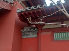 -文瀛公园