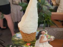 -野人先生Gelato(上海长宁龙之梦店)