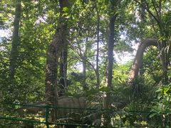 -杭州少年儿童公园