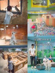 -酷嗒动物文化乐园(cutezoo西溪乐天城店)