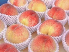 -老袁家蜜桃农场·阳山水蜜桃