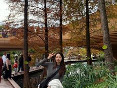 -云溪植物园
