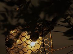 -MAISON门前杂货店