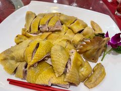 朱记白切鸡-朱仔记食府(江南大道店)