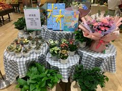 -AEON永旺(东方宝泰店)