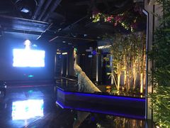 -尚橙歌坊主题式KTV(恒大商业广场店)