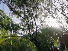 -元大都城垣遗址公园