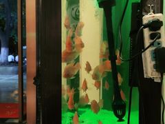 -北纬37°SPA养身会馆(湖西店)