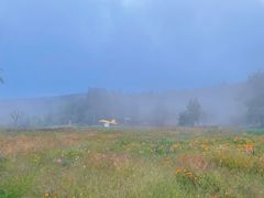 -武陵山森林公园