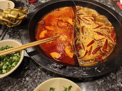 -蜀大侠火锅(建设路第五大道店)