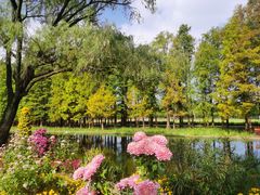 -上海共青森林公园