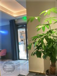 -苑苑vbeauty科技美容SPA