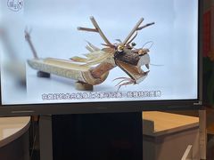 -中国杭州低碳科技馆