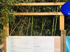 -WhaleSports户外水上运动俱乐部(朝阳公园店)