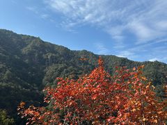 -楠溪江石桅岩
