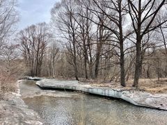 -洮儿河国家湿地公园