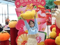 -苏州金鸡湖中茵皇冠假日酒店