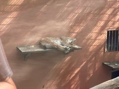 -青藏高原野生动物园
