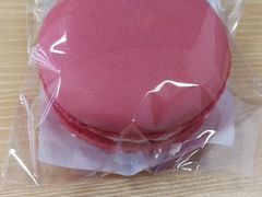 -多乐之日(田林东路店)