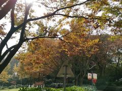 -上海市保健医疗中心