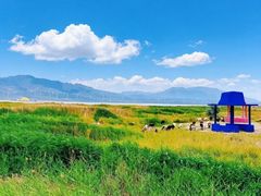 -盐湖景区
