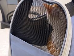 -中农国际动物医院24小时·猫科·骨科·急重症中心