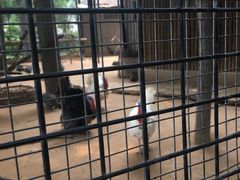 -石家庄市动物园