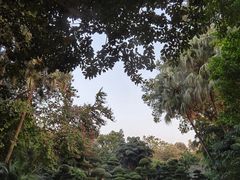 -南宁南湖公园