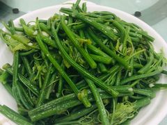 -湛江渔港·大排档(乐园路总店)