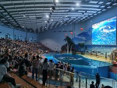 -福州罗源湾海洋世界旅游区