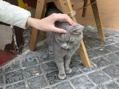 -猫岛主趣味餐厅(鼓浪屿店)