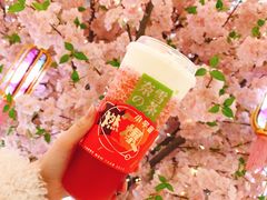 -奈雪的茶(石家庄万象城店)
