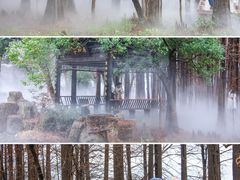 -东湖落雁景区