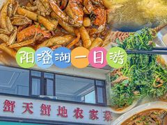 -蟹天蟹地农家菜·阳澄湖大闸蟹(浅水湾店)