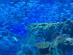 -海合安成都极地海洋公园