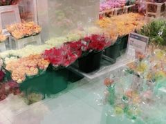 -盒马X会员店(上海森兰商都店)
