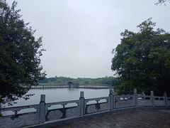 -溱湖国家湿地公园