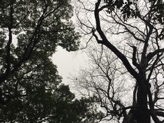 -绮园景区