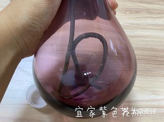 紫色花瓶配蝴蝶兰 宜家置办起来
