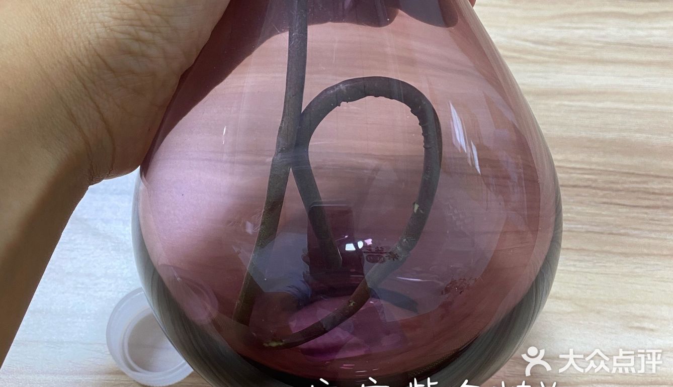 紫色花瓶配蝴蝶兰 宜家置办起来