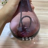 紫色花瓶配蝴蝶兰 宜家置办起来