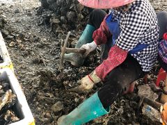 -蚝乡农庄(铁涌赤岸店)