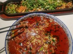 -院8里·小聚园老川菜(九眼桥店)