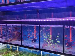 -三旗百汇商品城