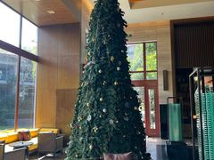 -广州都喜泰丽温泉度假酒店