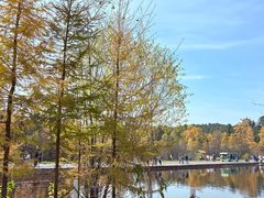 -五营红松林海景区