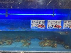 -旺达·福州菜(正大广场店)