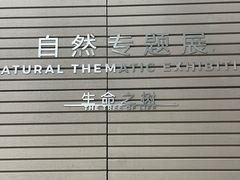 -四川大学博物馆