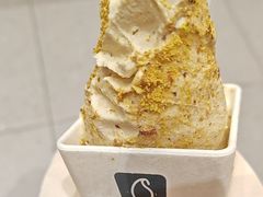 -野人先生现做冰淇淋(贵阳万象汇店)